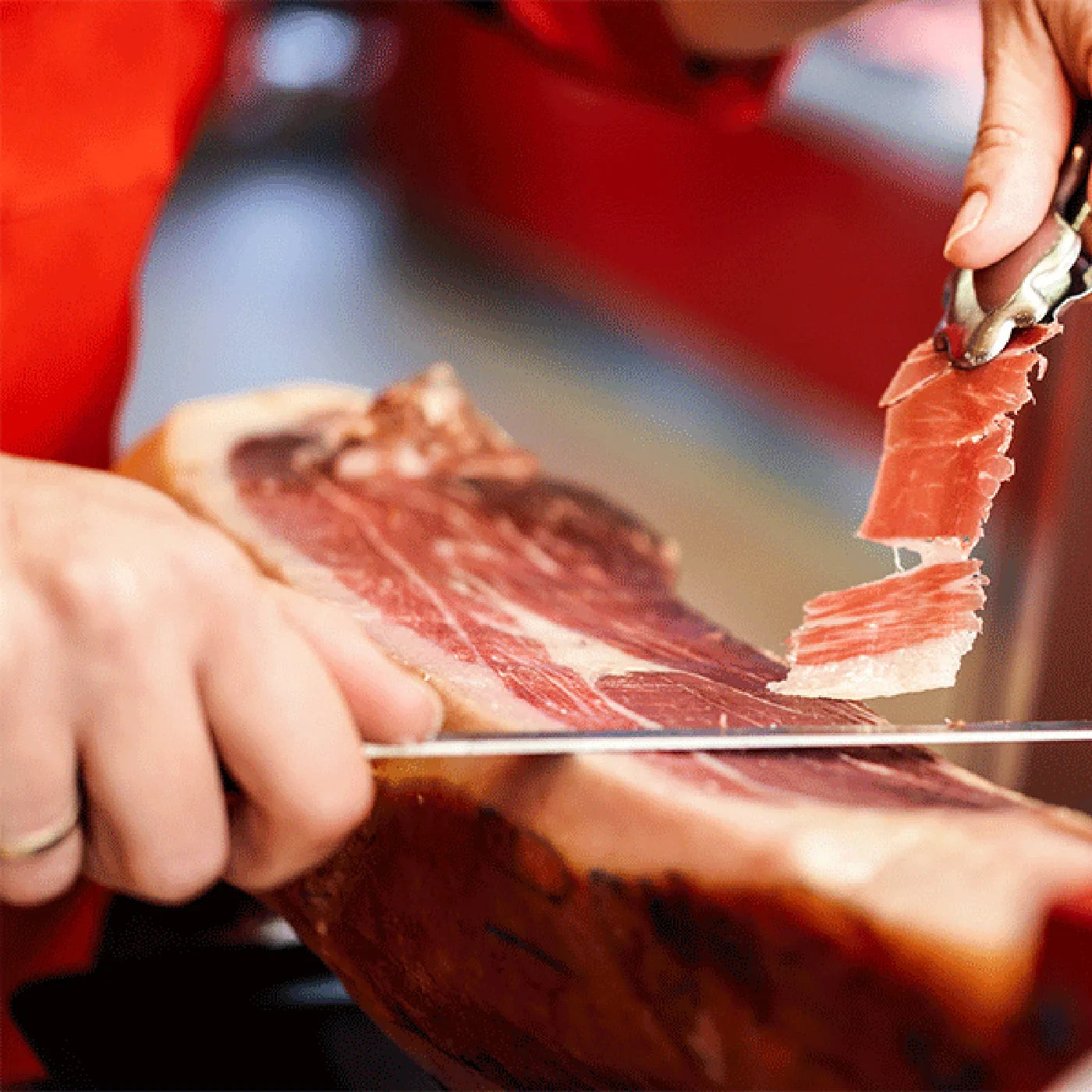 Porcs noirs et jambons d’exception : Gascon, Bigorre, Pata Negra…